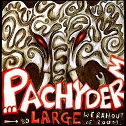 Pachyderm Studio's compilation So Large We Ran Out Of Room